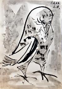 Eule