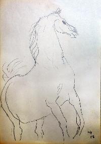Pferd